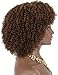 Kalyss Short Kinky Curly Wigs for Women Ombre Brown with Black Roots Premium Synthetic Natural Afro Wigs with Hair Bangs Lightweight Full and Bouncy