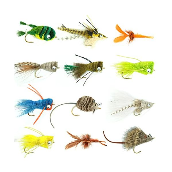 The-Fly-Fishing-Place-Bass-Bug-Collection-Set-of-12-Bass-Fly-Fishing-Flies-Surface-Poppers-Divers-and-Subsurface-Hook-Sizes-24-and-6