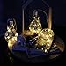 MJ PREMIER Christmas Decoration, Christmas Decor Wine Bottle Lights, Battery Operated LED Glass with Timer, Decorative for Tabletop Display Centerpiece Holiday Party Home (Clear)