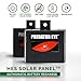Aspectek Predator Eye Night Time Solar Powered Animal Repeller - 2 Pack, Waterproof, Animal Control, Nocturnal Animals, Outdoor Use primary
