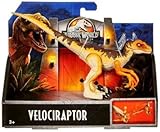 JWFK Jurassic World Legacy Collection Velociraptor Dinosaur Posable Figure 6
