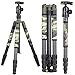 XILETU T284C+FB1 Carbon Fiber Tripod & Ball Head and Removable Monopod