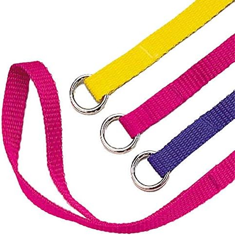 french bulldog puppy essentials