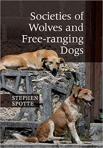 amazon com