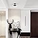 Light Society Vita Flush Mount Ceiling Light, Oil Rubbed Bronze with Clear Glass Shade, Vintage Industrial Modern Lighting Fixture (LS-C246-ORB)