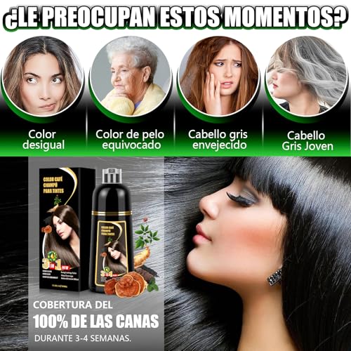 Shampoo con Tinte 3 en 1 Hair Dye Shampoo Negro Cubre Canas al Instante Extracto Jengibre y Ginseng Tratamiento Capilar Colorante 500ml para Todo Tipo de Cabello Mujer y Hombre