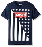 Levi's Boys' Levis Americana Graphic Tee