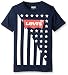 Levi's Boys' Levis Americana Graphic Tee