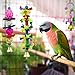 AK KYC 8 Pack Bird Parrot Toys Swing Chewing Hanging Bell Cage Hammock Toy for Small Parakeets Cockatiels Conures Parrots Love Birds Finches