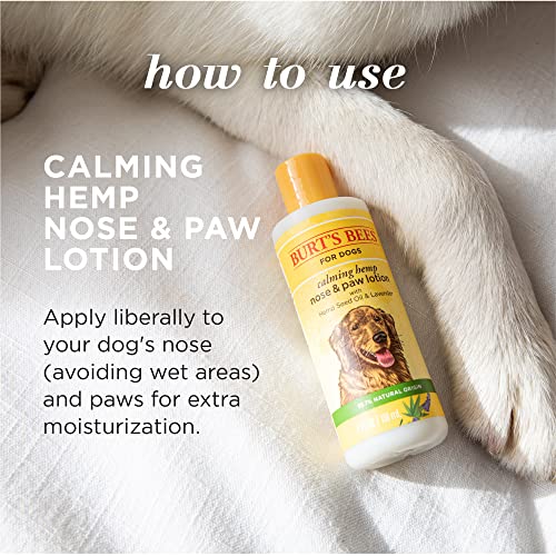 BURT’S BEES FOR PETS CALMING HEMP PAW & NOSE LOTION – BURT’S BEES DOG LOTION BURT’S BEES DOG PAW BALM WITH HEMP SEED OIL & LAVENDER MADE WITH NATURALLY DERIVED INGREDIENTS – PH BALANCED FOR DOGS, 4 OZ