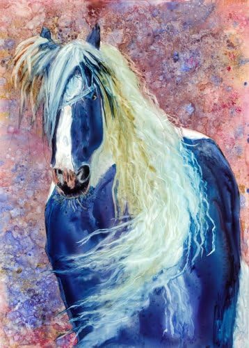 Rainbow Card Company Horse Sense Greeting Card - Clueless