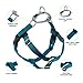 2 Hounds Design Freedom No Pull Dog Harness | Comfortable Control for Easy Walking |Adjustable Dog Harness and Leash Set | Small, Medium & Large Dogs | Made in USA | Solid Colors | 5/8