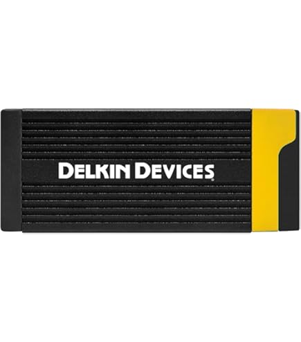 Amazon.com: Delkin Devices 160GB Power CFexpress Type A VPG-400