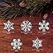 35PCS Frozen Theme Party Christmas Snowflake Silver 3-D Snowflake Hanging Swirls for Christmas New Year Decoration, Suitable for Party & Home Decor