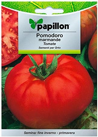 Semillas Tomate Raf (1.5 Gramos): Amazon.es: Jardín