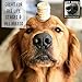Wet Noses Organic USA Made All Natural Dog Treats, Hemp Seed & Banana, 1 pack