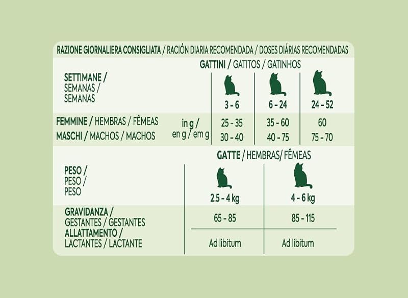 Ração para gatos juniores com frango: caixa de 8 x 440g