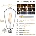 Vintage LED Edison Bulb 100W Equivalent 1100 Lumens, Dimmable 10W ST64 LED Filament Light Bulbs Warm White, E26 Medium Base, Pack of 6