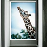 Framed Canvas Wall Art Giraffe Animals Expressive Farmhouse/Country Giraffe Living Room Multicolor Photography - 16x24 inches