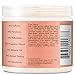 Shea Moisture Coconut & Hibiscus Curl Enhancing Smoothie 16 Ounce Family Size