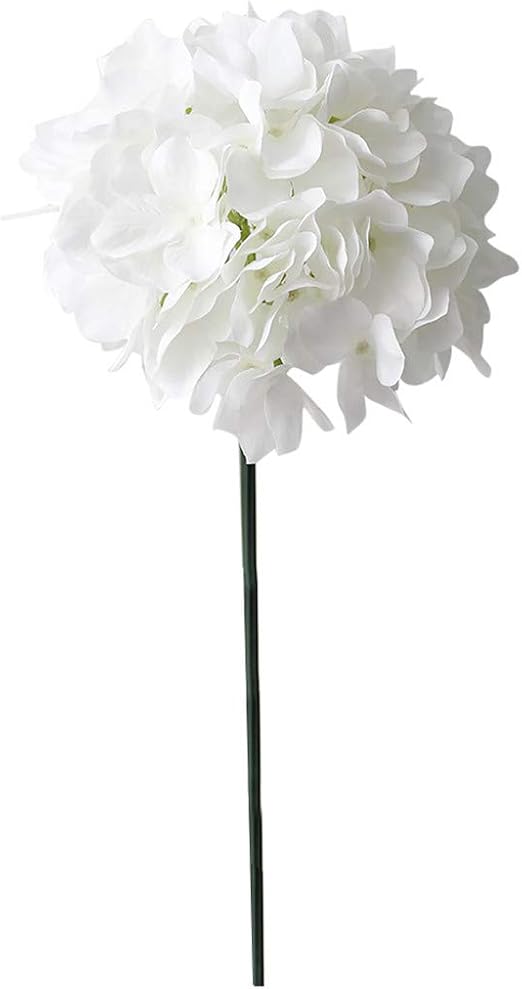 Amazon Com Junlai888 Diy Large Headed Leafless Hydrangea
