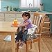 Fisher-Price SpaceSaver High Chair, Luminosity