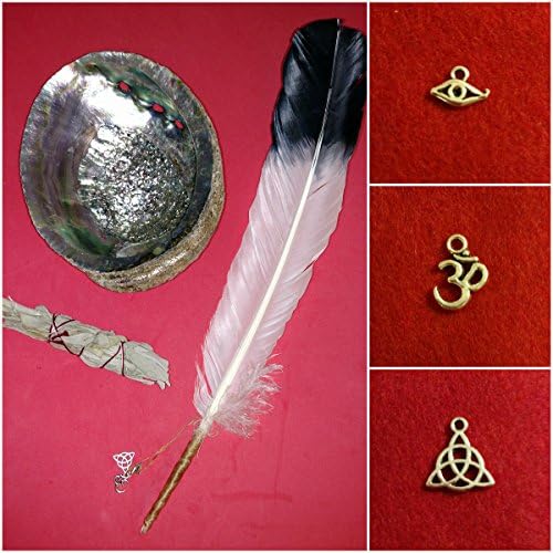 Smudge Kit Abalone Shell, Sage Smudge Wand, Authentic Sinew Wrapped Feather Wand