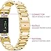 Oitom Stainless Steel Bands Compatilbe with Fitbit Charge 2,Premium Stainless Steel SS Metal Replacement Watch Band Strap for Smart Fitness Watch (Gold)