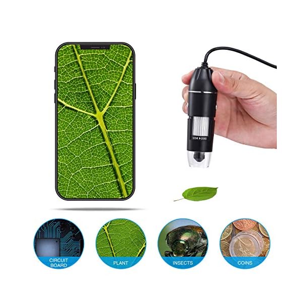 Hayve Digitales Mikroskop, 1000X, 1080P, elektronisches Mini-USB-Mikroskop, Vergrößerung, Münzkamera mit 8 LED-HD… – Bild 3