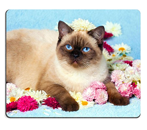 MSD Customized Natural Rubber Mouse Pad Personalized Custom Picture Cute color point cat relaxing ob blue blanket covered with flowers 33317270