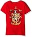 Harry Potter Big Girls' Short Sleeve T-Shirt Shirt, Classic Red, Medium