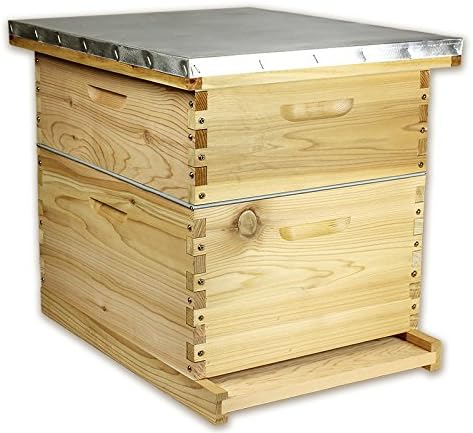 Beehive Kit 10 Frame Pine 2 Hive Boxes Deep and Medium Metal Telescoping Cover for Langstroth Beekeeping, 18 x 22 In