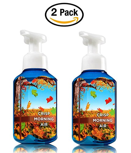 Bath & Body Works Crisp Morning Hand Soap - Pack of 2 Crisp Morning Air Gentle Foaming Hand Soaps