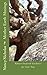 Mother Earth Musings: Nature-Inspired Guidance for Your Day by Nancy Nicholas
