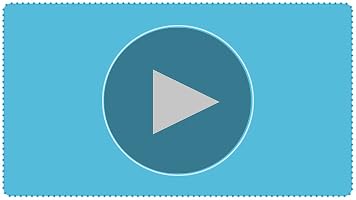 playgro step by step puppy walker