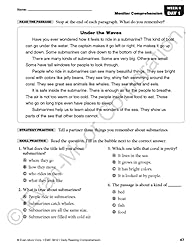 Evan-Moor Daily Reading Comprehension, Grade 2