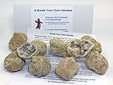 9 Break Your Own Geodes, 90% Hollow Medium ( 2-2.5”) Easy Crack Open & Discover Surprise Crystals Inside! Educational Info and Instructions Included, Fun Party Favors & Prizes, Dancing Bear Brand