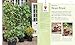 Small Space Garden Ideas