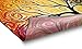 Fairytale Multi Yellow Orange Red Nature Modern Abstract Painting Brush Stroke Area Rug 5 x 7 ( 5'3