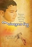 Vinegar Boy: Encounter Christ Through the Dramatic Story of Vinegar Boy by Alberta Hawse