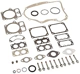 Briggs & Stratton 694012 Engine Gasket Set Replacement for Model 499889