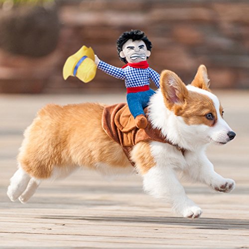 Patgoal Cowboy Rider Dog Costume for Dogs Clothes Knight Style with Doll and Hat for Halloween Christmas Holiday Day
