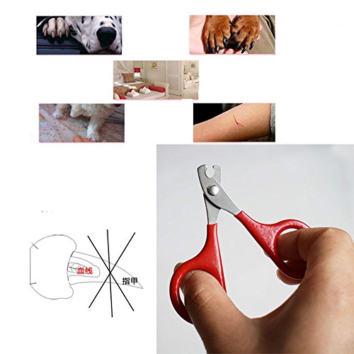 Pet Nail Clipper Dog Cat Stainless Steel Durable Easy Use Cutter Puppy Kitten Claw Care Supplies Tool For Small Animal