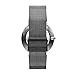 Skagen Men's Ancher Quartz Analog Stainless Steel and Mesh Watch, Color: Grey (Model: SKW6108)