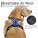 rabbitgoo Dog Harness No Pull with 2 Leash Clips, Adjustable Soft Padded, Reflective Oxford No Choke Pet Vest with Easy Control Handle for Large Dogs, Dazzling Blue, L