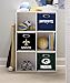 Franklin Sports NFL Storage Bins - Collapsible Cube Container + Storage Basket - NFL Office, Bedroom + Living Room Décor - 11