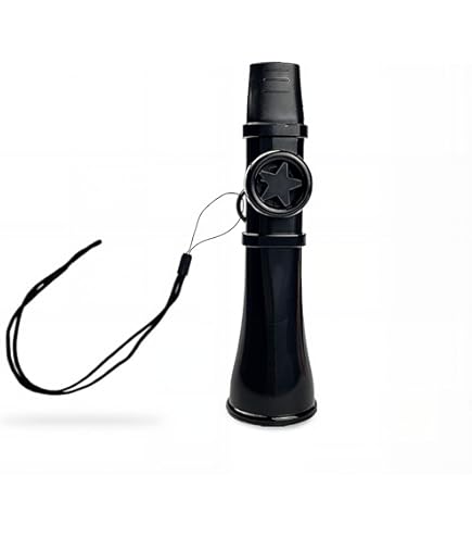 Kazoo　559 413dhVd+UQL._UF350,350_QL50_.jpg