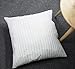 EvZ Premium Stuffer Pillow Insert Sham Square Form Polyester, 22