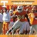 Turner Perfect Timing 2015 Tennessee Volunteers Team Wall Calendar, 12 x 12 Inches (8011606)