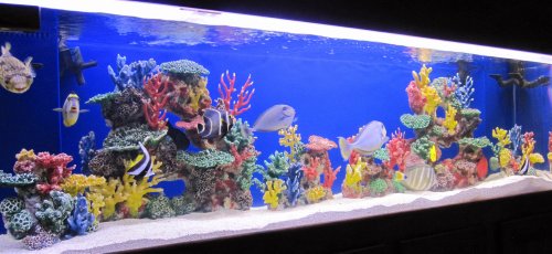 Instant Reef Dm038pnp Large Artificial Coral Inserts Decor Fake